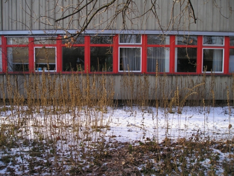 Ansicht Institutsgebäude mit roten Fensterrahmen als Besonderheit