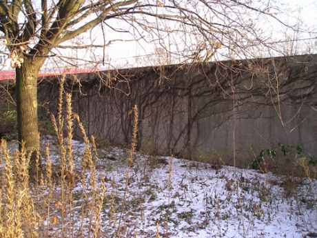 Mauer gegenüber dem Institutsgebäude 